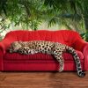 Leopard On Sofa paint by numbers