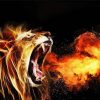 Lion Roaring Fire paint by numbers