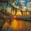 Spanish Moss At Sunset paint by numbers