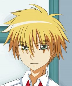 Takumi Usui Anime Character paint by numbers