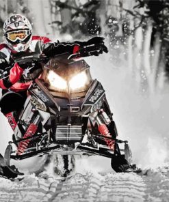 The Snowmobile Rider paint by numbers