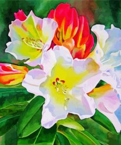 White Red Rhododendron Plants paint by numbers