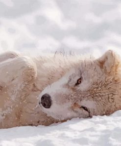 Wolf Pup In Snow paint by numbers