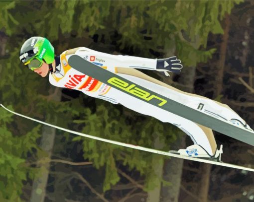 Ski Jump paint by numbers