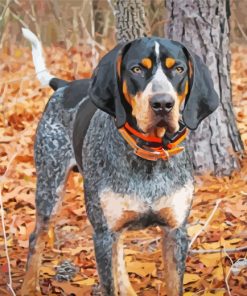 Hound Hunt Dog paint by numbers