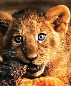 Lion Cub Animal paint by numbers