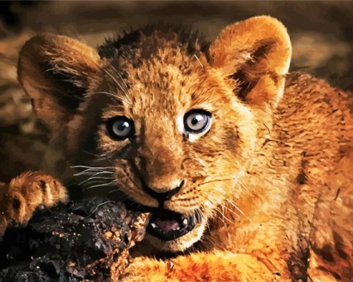 Lion Cub Animal paint by numbers