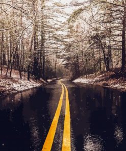 Open Road Forest paint by numbers