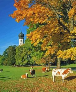 Cows Fall Scene Countryside paint by numbers