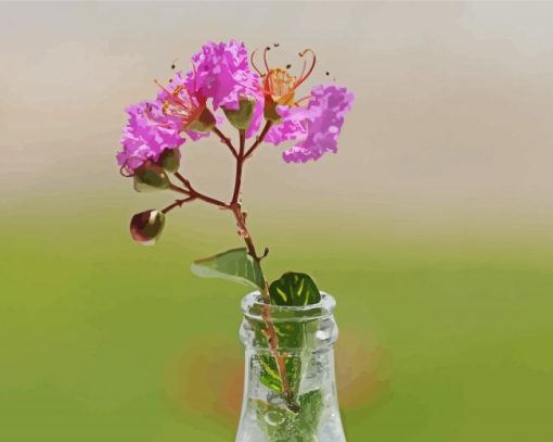 Pink Flower In Bottle paint by numbers