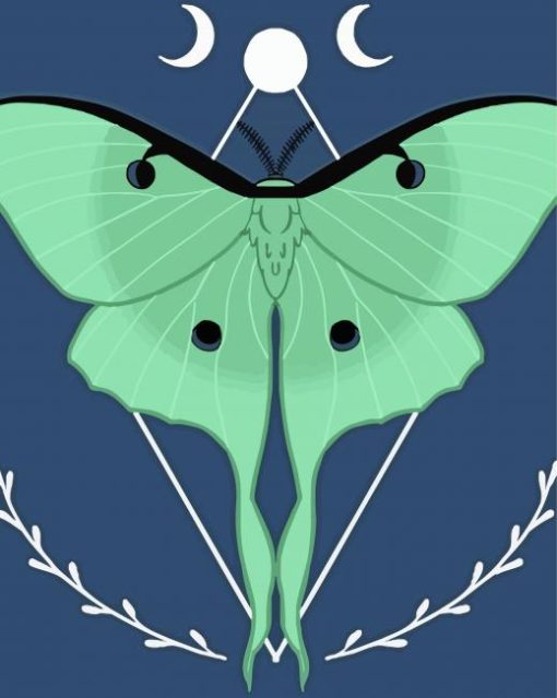 Luna Moth paint by numbers