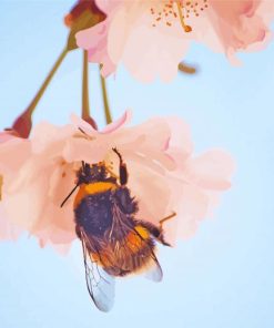 Baby Pink Flowers And Bees paint by numbers