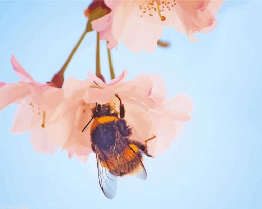 Baby Pink Flowers And Bees paint by numbers