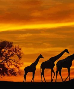 Giraffes Animals Sunset paint by numbers