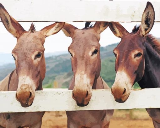 Trio Donkeys On Fence Paint By Number