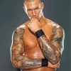 WWE Randy Orton Paint By Number