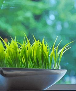 Decorative Wheatgrass Paint By Number