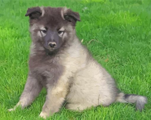 Adorable Keeshond Puppy Paint By Numbers