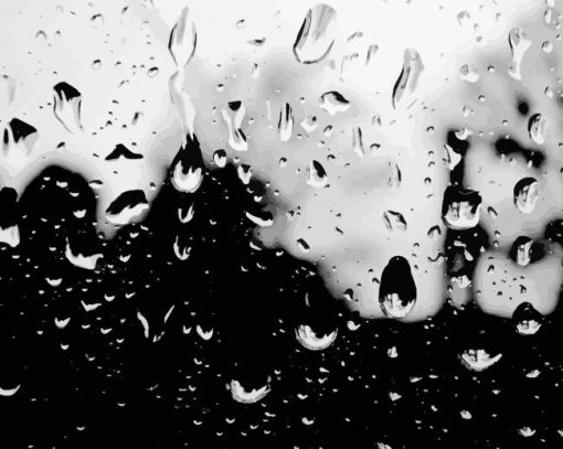 Black And White Rain Paint By Number