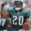 Brian Dawkins American Football Player Paint By Number