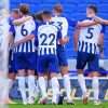 Brighton And Hove Albion Team Paint By Number