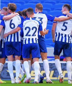 Brighton And Hove Albion Team Paint By Number