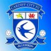 Cardiff City Football Logo Paint By Number