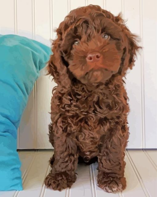 Chocolate Cockapoo Dog Paint By Number