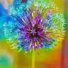 Colorful Allium Plant Paint By Number