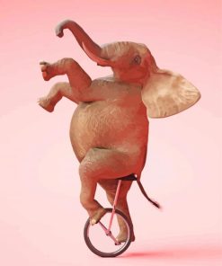 Cool Elephant On A Unicycle Paint By Number