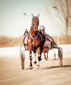 Harness Horse Paint By Number