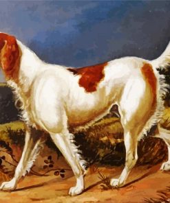 Irish Red White Setter Dog Paint By Number