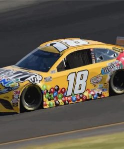 Kyle Busch Nascar Car Paint By Number