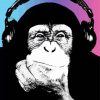 Monkey With Headphones Paint By Number