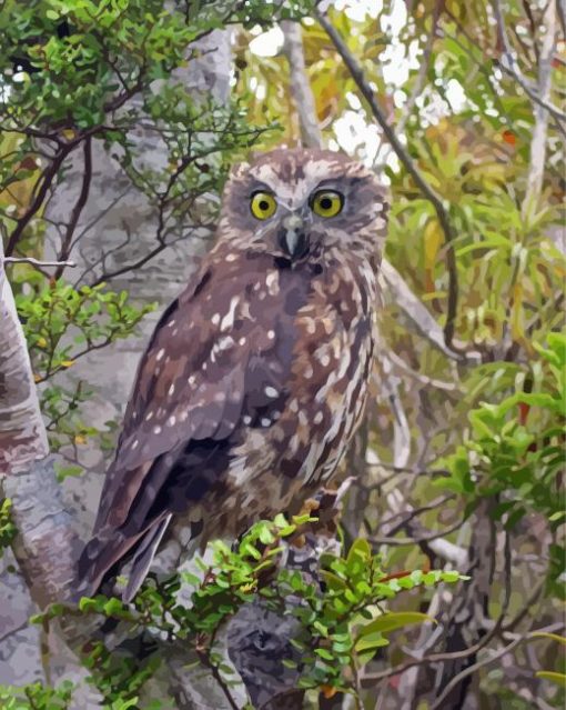 Morepork Paint By Number