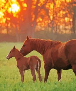 Quarter Horse And Her Baby Paint By Number