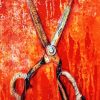 Rusty Scissor Paint By Number