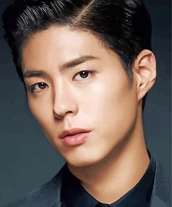 South Korean Park Bo Gum Paint By Number