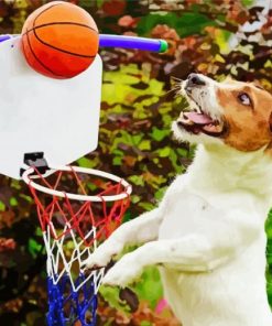 Sport Dog Playing Basketball Paint By Number