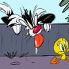 Sylvester And Tweety Animation Paint By Number