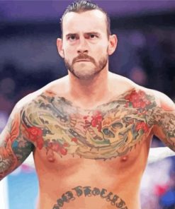 The Wrestler Cm Punk Paint By Number