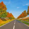 Tree Lined Autumn Road Paint By Number