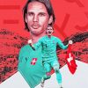 Yann Sommer Poster Paint By Number