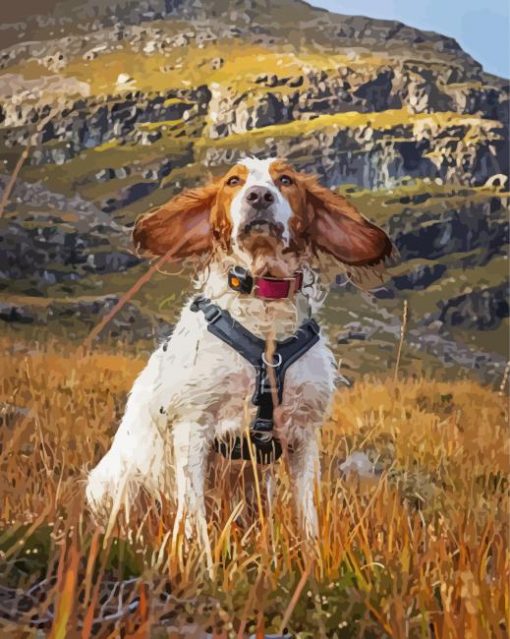 Adorable Working Cocker Spaniel Paint By Number