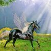 Black Butterfly Horse Paint By Number