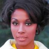 Gorgeous Diahann Carroll Paint By Number