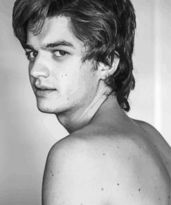 Monochrome Joe Keery Paint By Number