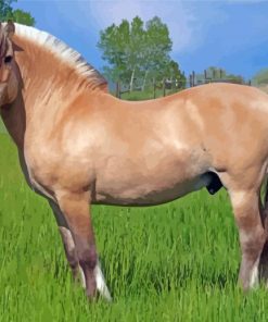 Norwegian Fjord Horse Paint By Number