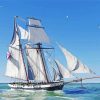 Ocean Schooner Paint By Number