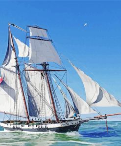 Ocean Schooner Paint By Number